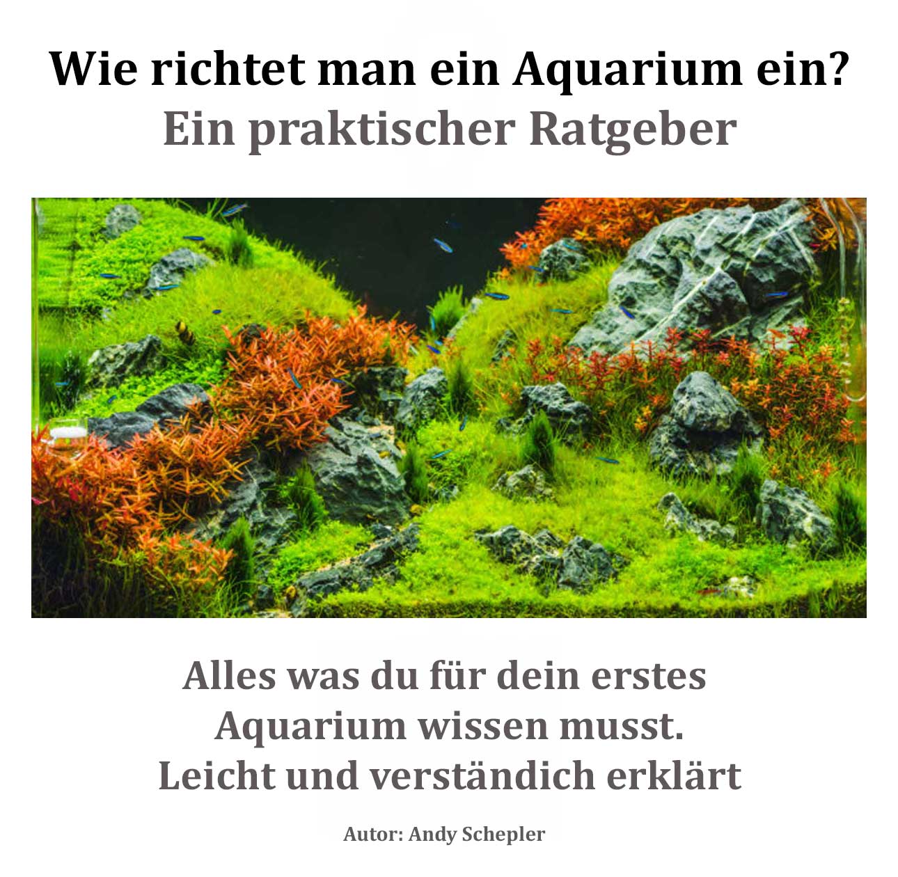 Online Aquarium Ratgeber kostenlos